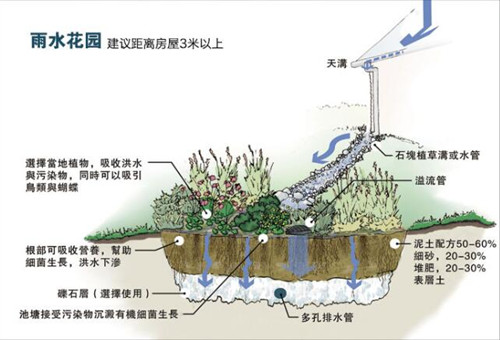 雨水花园