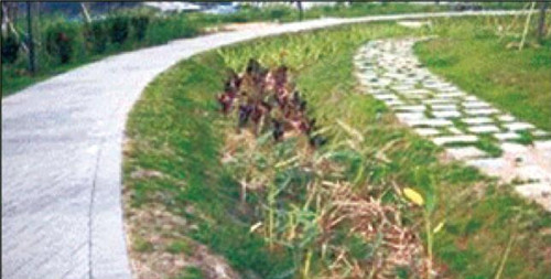 海绵城市综合解决方案